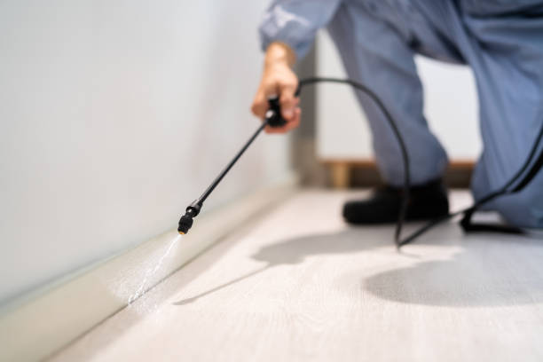Licensed Pest Control service in Crest View Heights, NY - Show Me Pest Control