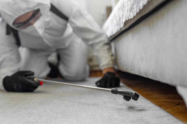 Professional Ant Control technician working in Crest View Heights, NY