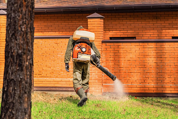 Top rated local Ant Control specialists in Crest View Heights, NY